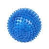 Unbranded Squeaky Spiky Dog Balls - Durable Pet Chew Toys