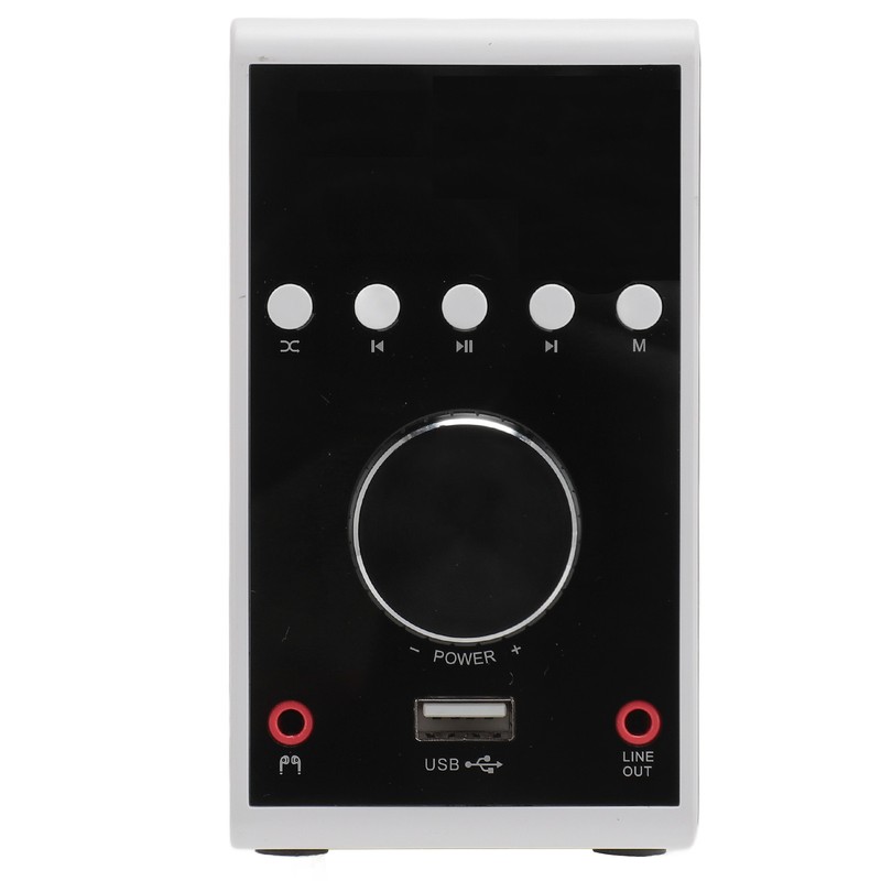 200W Bluetooth 5.0 Amplifier HIFI Stereo Sound Digital Amp Wireless