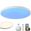 LED Ceiling Light Alexa Compatible 32 cm Smart Ceiling Light
