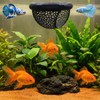 Bruislard 2 PCS Betta Bed, Floating Betta Hide & Shrimp