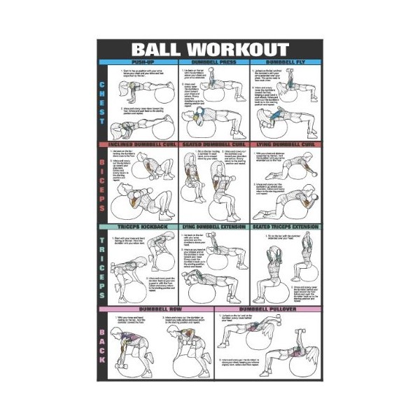 Fitnus Chart Series Co-ed Swiss Ball Workout I 24" X