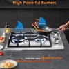 Disaenvir 2 Burner Propane Cooktop - 12 Inch Stainless Steel
