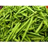 30 Cluster Beans Seeds, Non-GMO, Heirloom, High Yield for Canadian