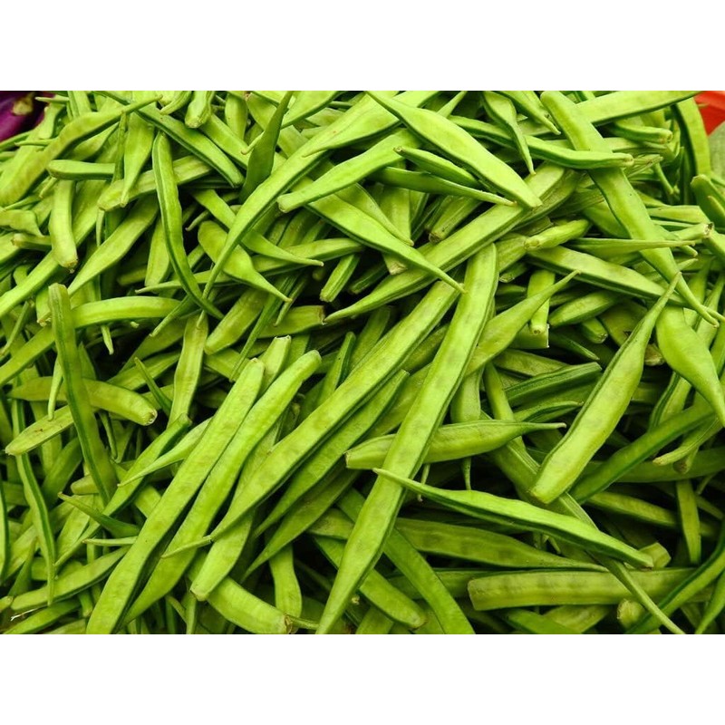 30 Cluster Beans Seeds, Non-GMO, Heirloom, High Yield for Canadian