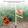 Extra Large Chicken Perch Toys, Wooden Chick Perch Stand with
