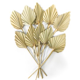 Dried Palm Leaves 10 Pcs Boho Dried Palm Spears Leaves Bulk Small Natural Dried Real Palm Fans, Dried Palm Leaf with Stem Dried Flowers Palm Leaves Decor for Vase Wedding Party Office Home Wall Decor