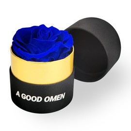 Preserved Roses,Flowers for Delivery Prime Roses in a Box ，Forever Rose Unique Gifts for WomenGifts for Mom/Girlfriend/Wife/Grandma (Blue)