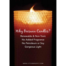 Little Bee of Connecticut Hand Rolled Beeswax Pillar Candles (4 x 6 Inch)