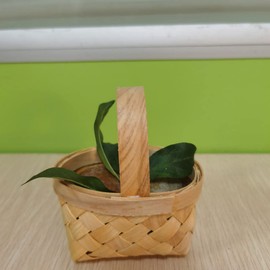 DOITOOL Mini Woven Baskets with Handles 5pcs Miniature Flower Basket Rustic Hanging Wedding Decor Mini Hamper Baskets Playset Mini Scene Props for Dollhouse Farmhouse Decor