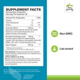 Terry Naturally Be Mobile - Collagen Supplement for Joint Health Support - Dietary Supplement with Boswellia Extract & Type II Collagen - Lower Back & Knee Support - 60 Capsules