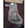Unbranded Pet Stocking