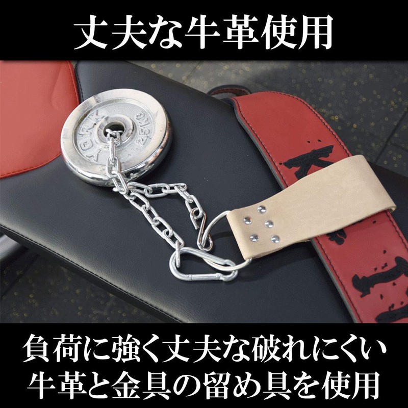 Felimoa Dipping Belt for Muscle Training, Training Belt, Chinning, Storage