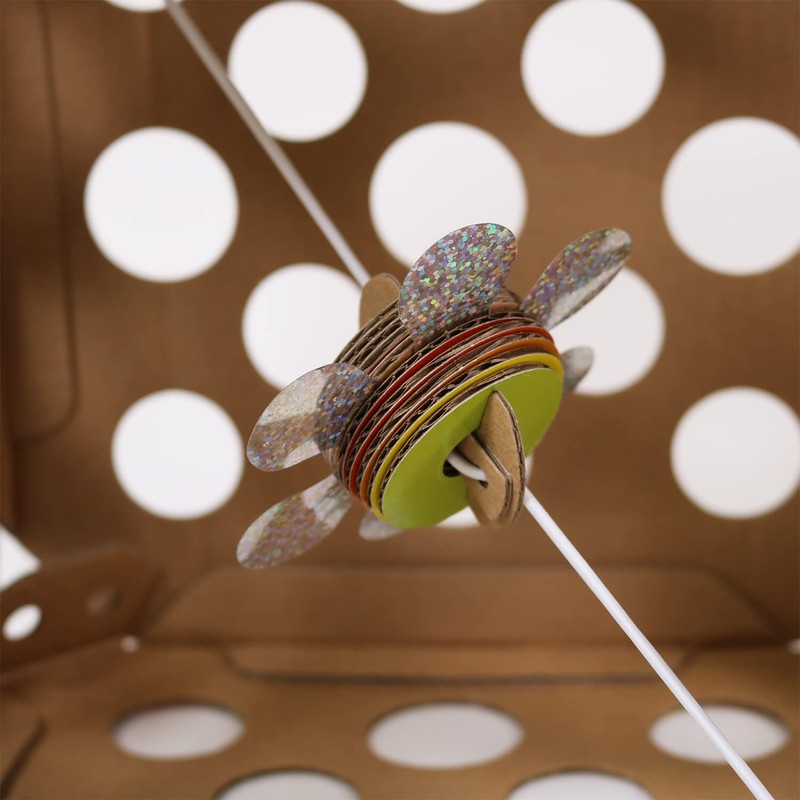 CattyMan Cat Tension Explosion Agate Box