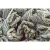 Health Embassy White Horehound Herb (Marrubium L. - Marrubium Vulgare