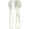 FANQIEW Caviar Spoon 2 pcs Mother of Pearl Spoons 3.5