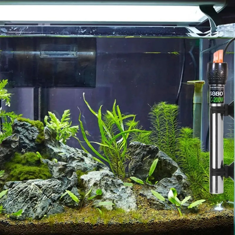 200w Termostato Acero Inox Y Termómetro Digital Para Acuario