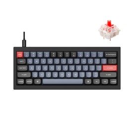 Keychron Q4 Wired Custom Mechanical Keyboard, 60% Layout QMK/VIA Programmable Macro with Hot-swappable Gateron G Pro Red Switch Double Gasket Compatible with Mac Windows Linux (Black)