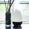 HealthSmart Large 500mL Essential Oil Diffuser with Colorful Mood Light