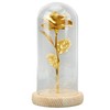 Rose in Glass Dome Lucky Beautiful Symbolism Romantic Enchanted Rose