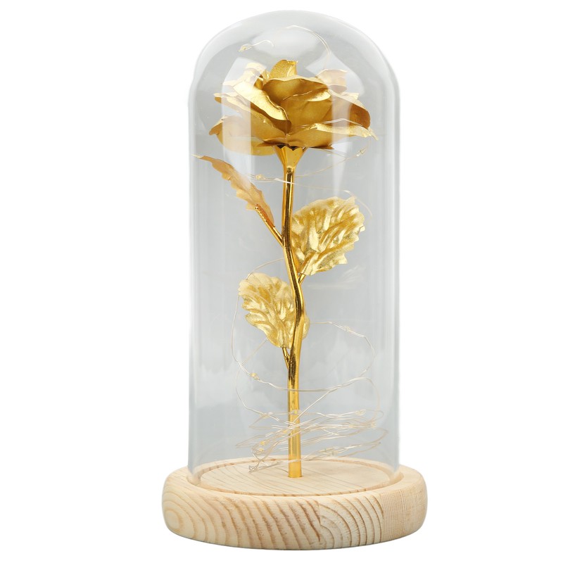 Rose in Glass Dome Lucky Beautiful Symbolism Romantic Enchanted Rose