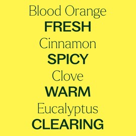 Plant Therapy Germ Fighter Essential Oil Blend Pure, Natural Aromatherapy, for Diffusion & Topical Use, DIY Multi-Surface Cleaner, Hand Cleanser, Home or Office Use, Therapeutic Grade 10 mL (1/3 oz)