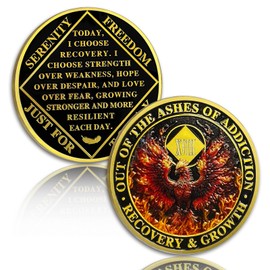 YRCKUDZKG Phoenix 18 Year Sobriety Coin Flame Eighteen Year Sobriety Chip NA Chips and Medallion NA Coin Recovery Chip Sobriety Token Sobriety Gifts for Men Women Narcotics Anonymous Gift
