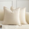 Mandioo Pack of 2 Decorative Throw Pillow Covers Accent Solid