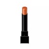 Kate 케이트 립몬스터 지속 밀착 립스틱 14호 어스파이어드 Kate Lip Monster Long Lasting Lipstick 14 Aspired