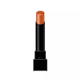 Kate 케이트 립몬스터 지속 밀착 립스틱 14호 어스파이어드 Kate Lip Monster Long Lasting Lipstick 14 Aspired