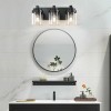 Matte Black 3-Light Bathroom Vanity Light Clear Glass Shade with