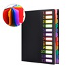 Document Folder A4 Desk Folder Coloured 12 Compartments Folder File