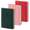 3 Pack Small Pocket Journal Notebooks Mini A6 Lined Journaling