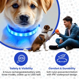 GadgetPawsUSA - LED Dog Collar - USB Rechargeable Light Up Collar with Waterproof Design + 3 Lighting Modes - Illuminated Safety Collar - Blue (Large Size)