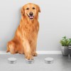 VILLCASE 10pcs Dog Scent Work Tins, Aluminum Dog Nose Work