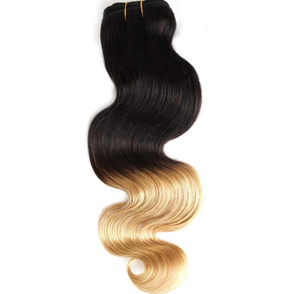 GoldRose Beauty Ombre Hair Extension Grade 7A Remy Brazilian Virgin Human Hair Body Wave Hair Weave Two-tone Color #1B/27 10 Inch 1 Bundle