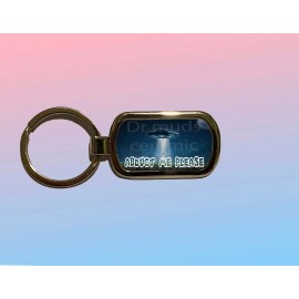 Abduct Me Please UFO Aliens Key Chain