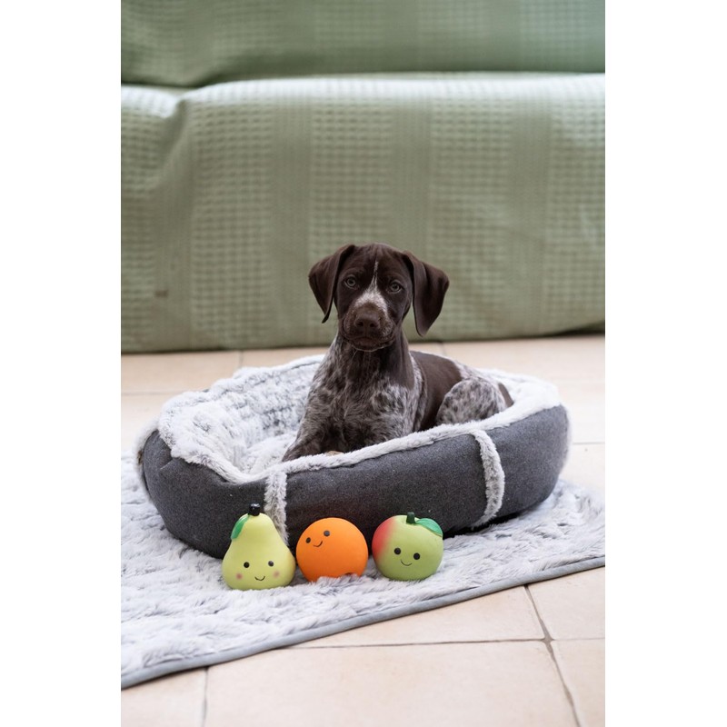 Petface Latex Orange Soft Chew Dog Toy, Small