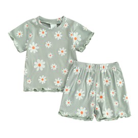 Newborn Baby Girls Summer Shorts Clothes Sets Toddler Infant Floral Short Sleeve T-shirts+Daisy Outfit (R-Green, 6-12 Months)