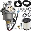 Aynaxcol A042P619 Carburetor Carb with Gaskets Replacement for Onan Cummins