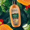 To Nacho Shampoo Herbolaria Milenaria, Fortalece y Disminuye la Cada
