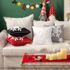 MIULEE Pack of 2 Christmas Decorative Snowflake Throw Pillow Covers