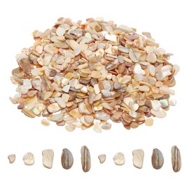 MECCANIXITY 500g Crushed Shells Irregular Natural Mosaic Sea Shell Fragments for Home Decoration Art Crafts DIY Projects Beige
