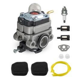 Carbruetor Fit for MTD Craftsman CMXGTAMDAXSC 41ADAXSC793 30cc 4-Cycle Gas Trimmer, Engine Carb Tune Up Kit