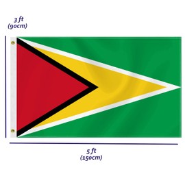 Large Guyana Flag,3x5 FT Guyanese 75D Outdoor Banner,Guyanan Decor for Garden Yard Car Truck with Brass Grommet