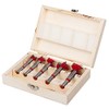 UK Drills Forstner Bit Drill Bit Set (5 Pieces) from