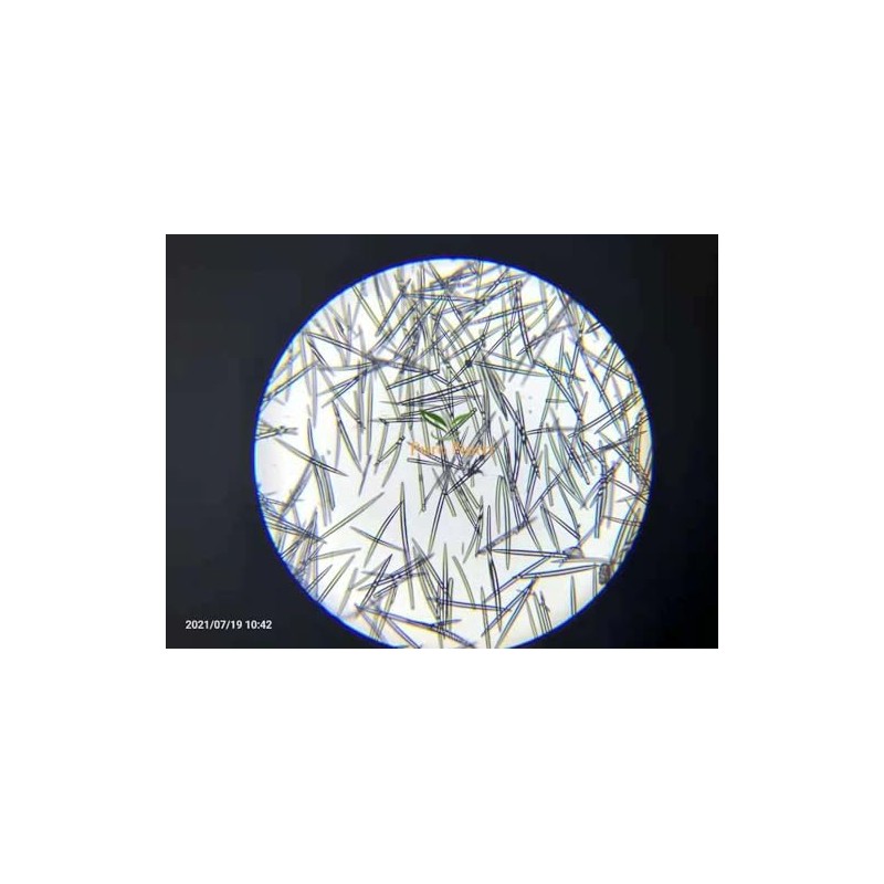 Esponja hidrolizada de agua dulce Spongilla Spicule 99% Acondicionadora de