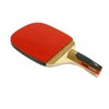 V HAMPION Table Tennis Racket 3 Penholder 5P Charm Single Item