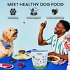 The Pets Table Beef & Berries Grain-Free Air Dried Dog