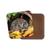 1 x Adorable Hedgehog Coaster - Garden Animal Mum Auntie
