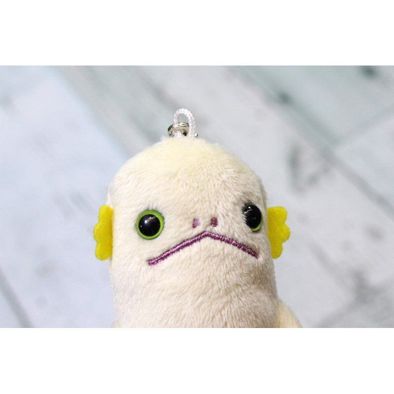 CINADA MOQUEQUE STRAP PETACONS